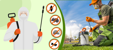 Emergency Pest Control Pakenham